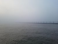 image.jpeg image.jpeg