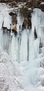 Valdez 2019_a.jpg