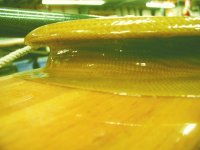 Canoe-hugh09rail.jpg