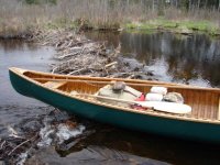 canoe on beaver dam pr2.jpg