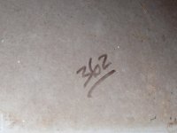 IMG_4568.JPG