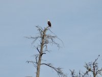 Click image for larger version  Name:	DSCN0572.jpeg Views:	0 Size:	89.6 KB ID:	117224