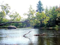 Junction of Raquette and Cold Rivers.JPG