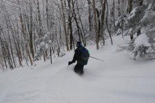 DSC_3428.JPG