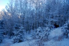 DSC_3402.JPG
