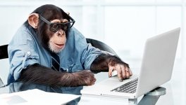 PC monkey.jpg