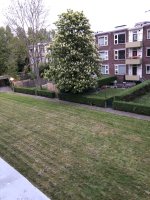 IMG_8445[1].JPG