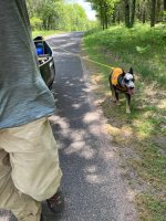 IMG_3129.jpeg