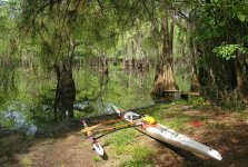 Huki and paddles 2 in Sparkleberry Swamp.JPG