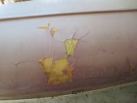 IMG_0857.JPG