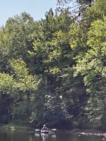 4FF3CC66-449D-40BD-83F7-EA601011F891.jpeg