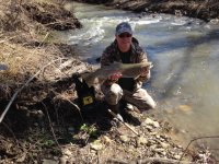 Springwater creek 4-12-2015 rainbow trout.jpg
