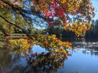 Stillwater dam house thru tree.jpg