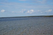 DSC01464.JPG