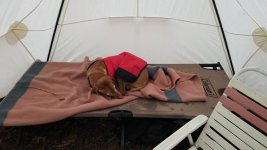 Hot tent 3.jpg