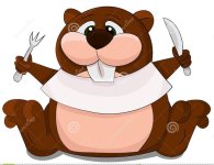 cute-cartoon-unusual-vector-beaver-spoon-fork-illustration-isolated-white-48584561~2.jpg