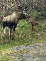 IMG_7451.jpeg