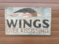 WingsoverKississing.jpg WingsoverKississing.jpg