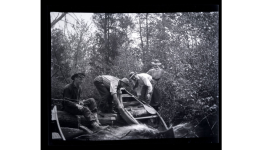 Splashing over log Mullica 1906.png