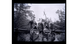 2 canoes over log Mullica 1906.png