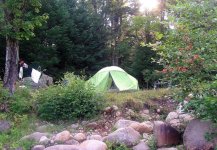 Campsite near Deerland lean-to.JPG
