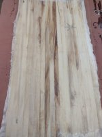 IMG_20240201_192105925.jpg IMG_20240201_192105925.jpg