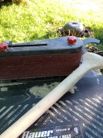 IMG_20240527_183430362.jpg IMG_20240527_183430362.jpg