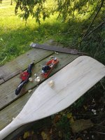 IMG_20240527_184617381.jpg IMG_20240527_184617381.jpg