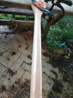 IMG_20240530_191630010.jpg IMG_20240530_191630010.jpg