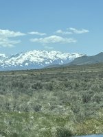 IMG_0578.jpeg IMG_0578.jpeg