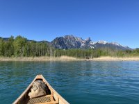 IMG_2362.jpeg