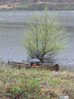 IMG_1987.jpeg