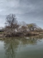 IMG_20250409_153400195_HDR.jpg