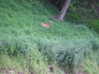 IMG_1064.JPG