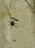 IMG_0267.jpeg