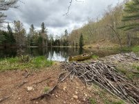 IMG_2150.jpeg