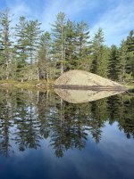 IMG_2260.jpeg