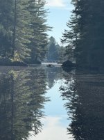 IMG_2271.jpeg