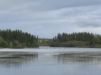 OutforWater.jpeg