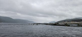 IMG_5569.jpeg IMG_5569.jpeg