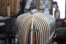 IMG_5573.jpeg
