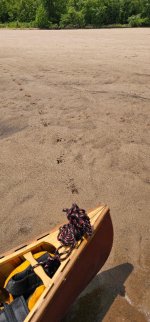 IMG_0379.jpeg
