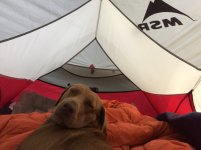 IMG_0117.jpeg