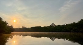IMG_1225.jpeg