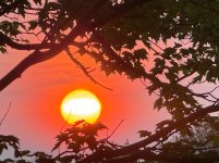 IMG_2432.jpeg