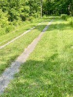 Po060225-Towpath.jpeg