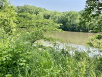 Po060225-Rvr View from Towpath.jpeg