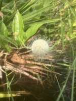 IMG_4962.jpeg