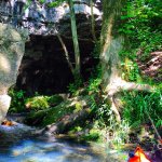 IMG_0238.jpeg