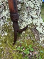IMG_2568.jpeg